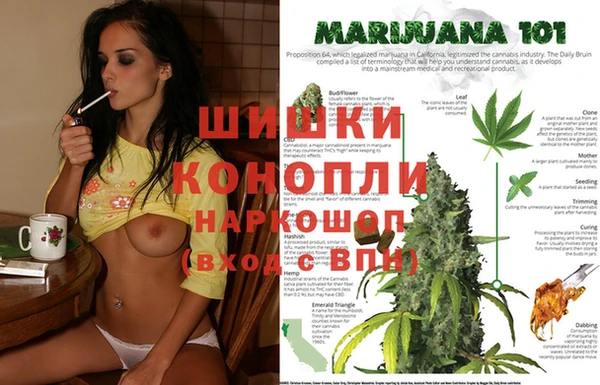 ГАЛЛЮЦИНОГЕННЫЕ ГРИБЫ Горнозаводск