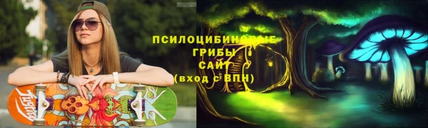 ГАЛЛЮЦИНОГЕННЫЕ ГРИБЫ Горнозаводск