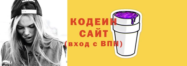 СК Вязьма