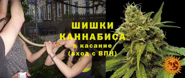 ГАЛЛЮЦИНОГЕННЫЕ ГРИБЫ Горнозаводск