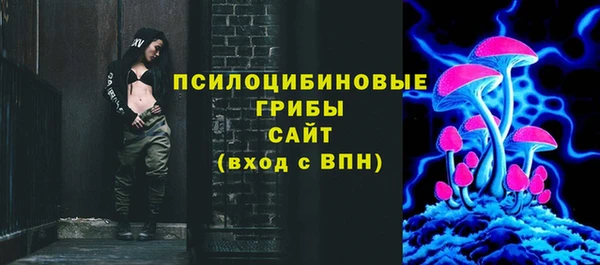 ГАЛЛЮЦИНОГЕННЫЕ ГРИБЫ Горнозаводск