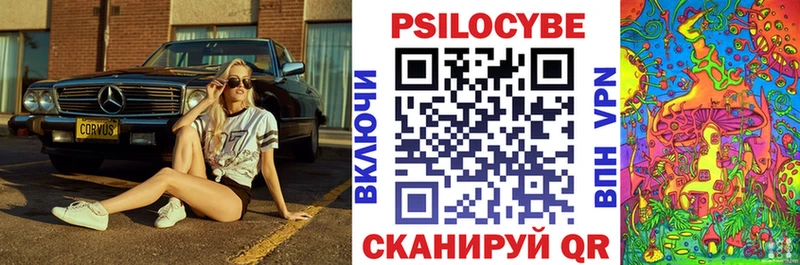 продажа наркотиков  Москва  Галлюциногенные грибы Cubensis 